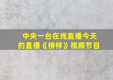 中央一台在线直播今天的直播《榜样》视频节目