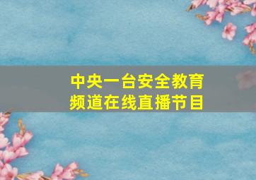 中央一台安全教育频道在线直播节目