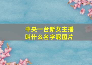 中央一台新女主播叫什么名字呢图片