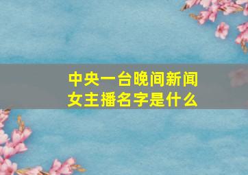 中央一台晚间新闻女主播名字是什么