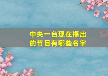 中央一台现在播出的节目有哪些名字