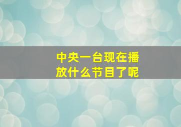 中央一台现在播放什么节目了呢