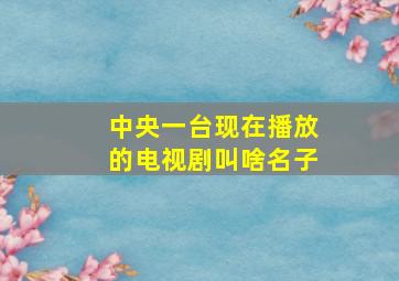 中央一台现在播放的电视剧叫啥名子