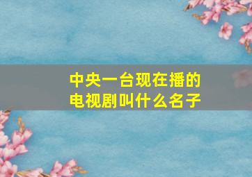 中央一台现在播的电视剧叫什么名子