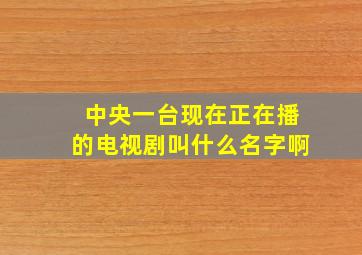 中央一台现在正在播的电视剧叫什么名字啊