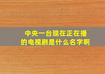 中央一台现在正在播的电视剧是什么名字啊