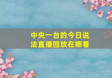 中央一台的今日说法直播回放在哪看