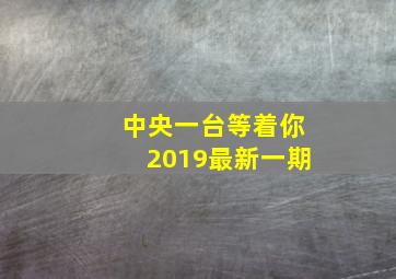 中央一台等着你2019最新一期