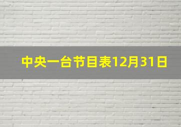 中央一台节目表12月31日