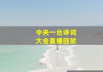 中央一台诗词大会直播回放