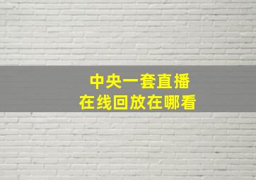 中央一套直播在线回放在哪看