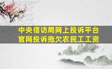 中央信访局网上投诉平台官网投诉拖欠农民工工资