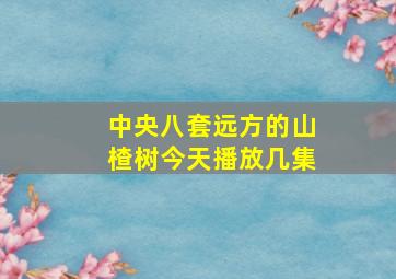 中央八套远方的山楂树今天播放几集