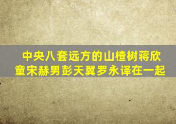 中央八套远方的山楂树蒋欣童宋赫男彭天翼罗永译在一起