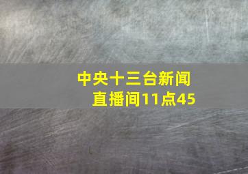 中央十三台新闻直播间11点45