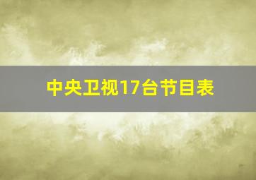 中央卫视17台节目表