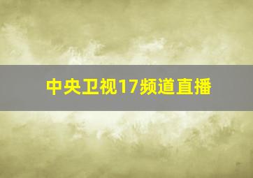 中央卫视17频道直播