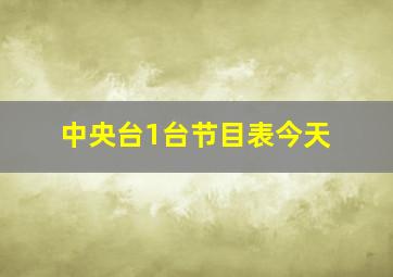 中央台1台节目表今天