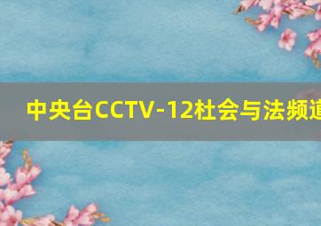 中央台CCTV-12杜会与法频道