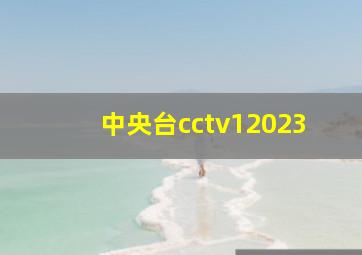 中央台cctv12023