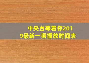 中央台等着你2019最新一期播放时间表