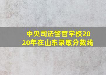 中央司法警官学校2020年在山东录取分数线