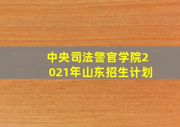 中央司法警官学院2021年山东招生计划