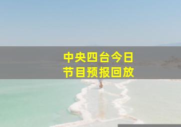 中央四台今日节目预报回放