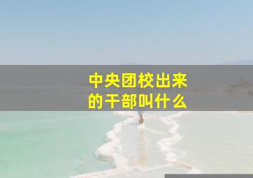 中央团校出来的干部叫什么