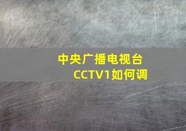 中央广播电视台CCTV1如何调