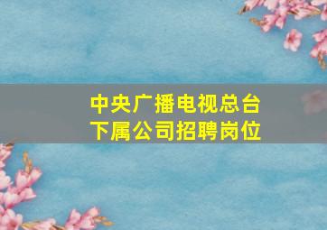 中央广播电视总台下属公司招聘岗位