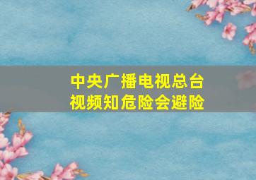 中央广播电视总台视频知危险会避险