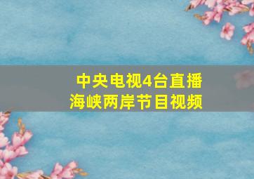 中央电视4台直播海峡两岸节目视频