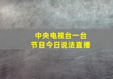 中央电视台一台节目今日说法直播