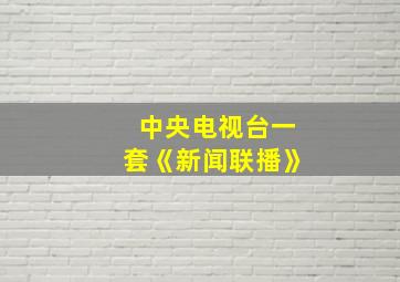 中央电视台一套《新闻联播》