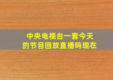 中央电视台一套今天的节目回放直播吗现在