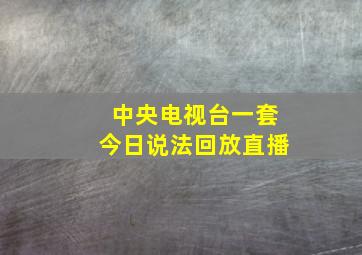 中央电视台一套今日说法回放直播