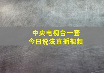 中央电视台一套今日说法直播视频