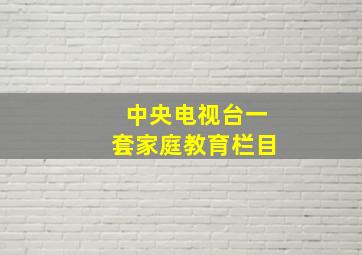 中央电视台一套家庭教育栏目