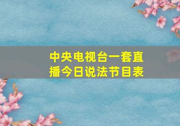 中央电视台一套直播今日说法节目表