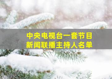 中央电视台一套节目新闻联播主持人名单