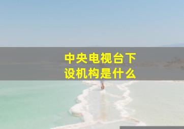 中央电视台下设机构是什么