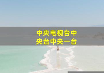 中央电视台中央台中央一台