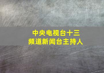 中央电视台十三频道新闻台主持人