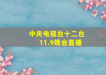 中央电视台十二台11.9晚会直播