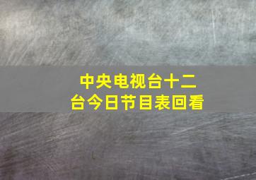 中央电视台十二台今日节目表回看