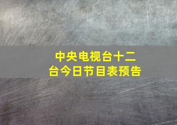 中央电视台十二台今日节目表预告