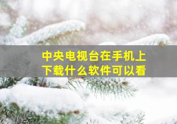 中央电视台在手机上下载什么软件可以看