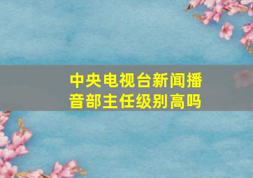 中央电视台新闻播音部主任级别高吗