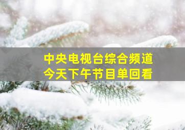 中央电视台综合频道今天下午节目单回看